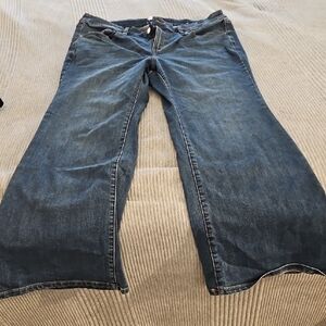 Lane Bryant Blue Flare Wide Leg Jeans